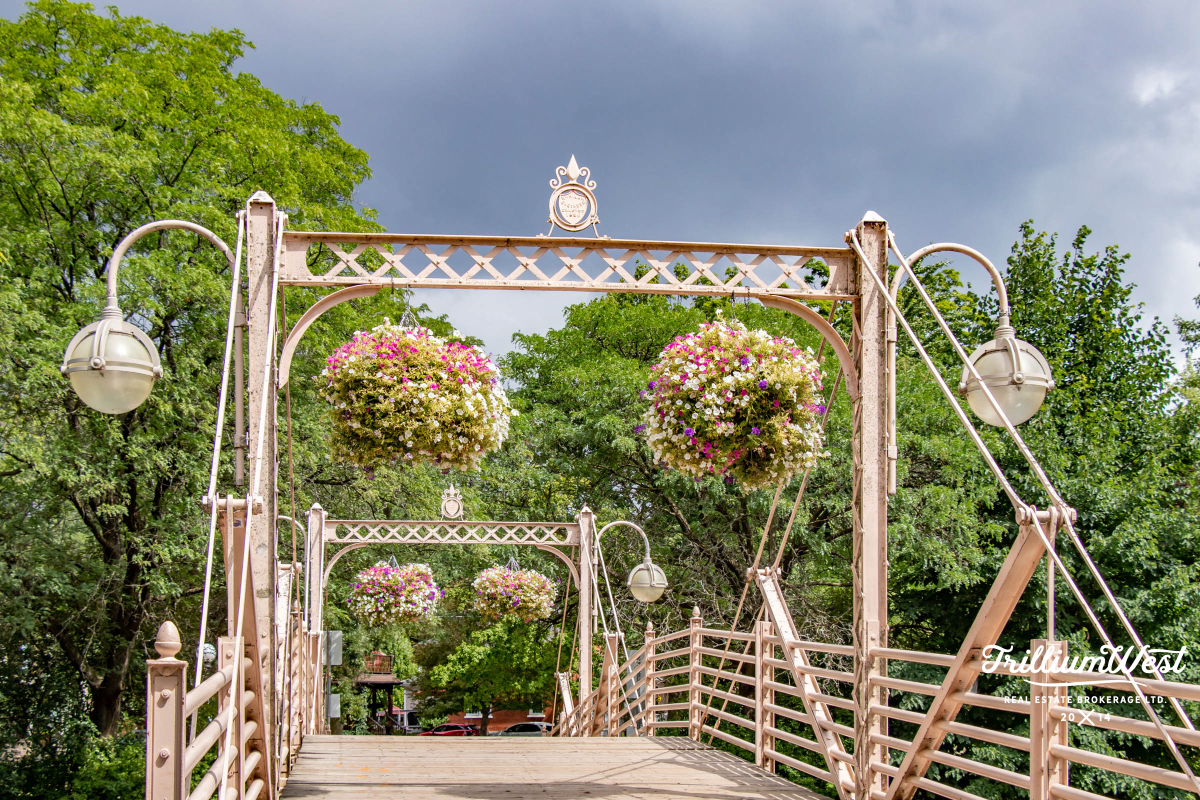 VicParkgallery 10 of 