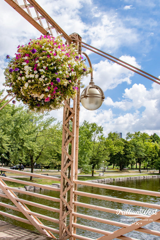 VicParkgallery 11 of 