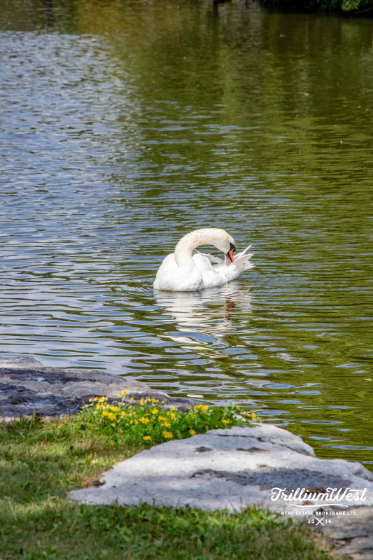 VicParkgallery 30 of 