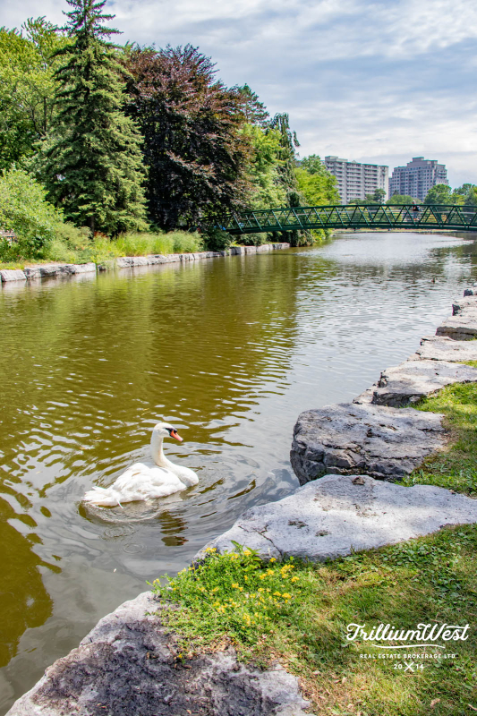 VicParkgallery 31 of 