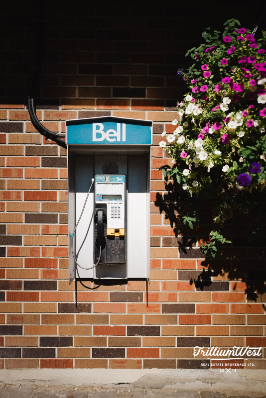 VicParkgallery 45 of 