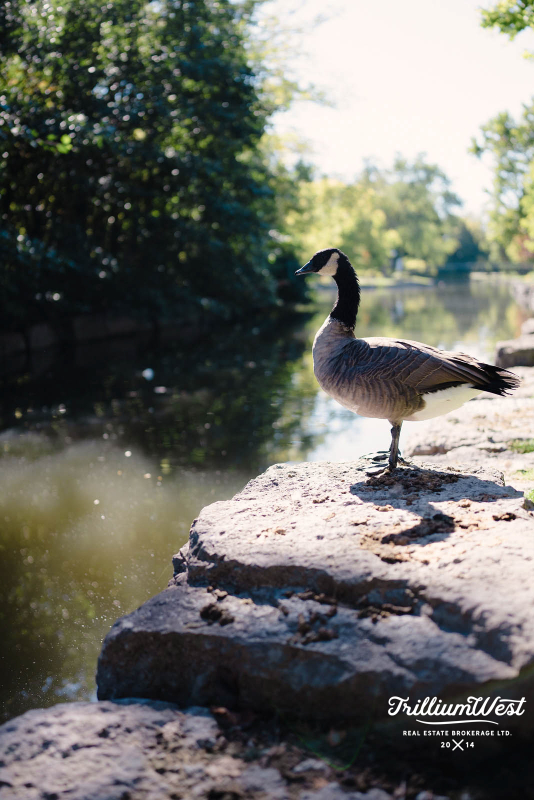 VicParkgallery 48 of 