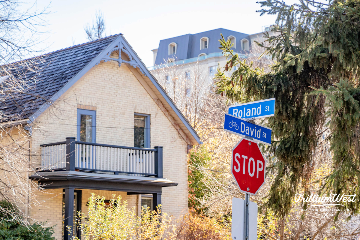 VicParkgallery 51 of 