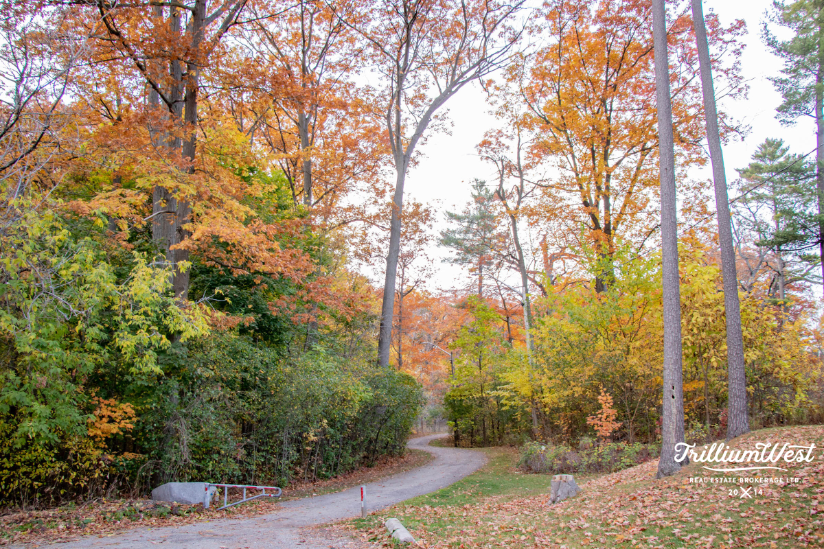 Victoriagallery 1 of 