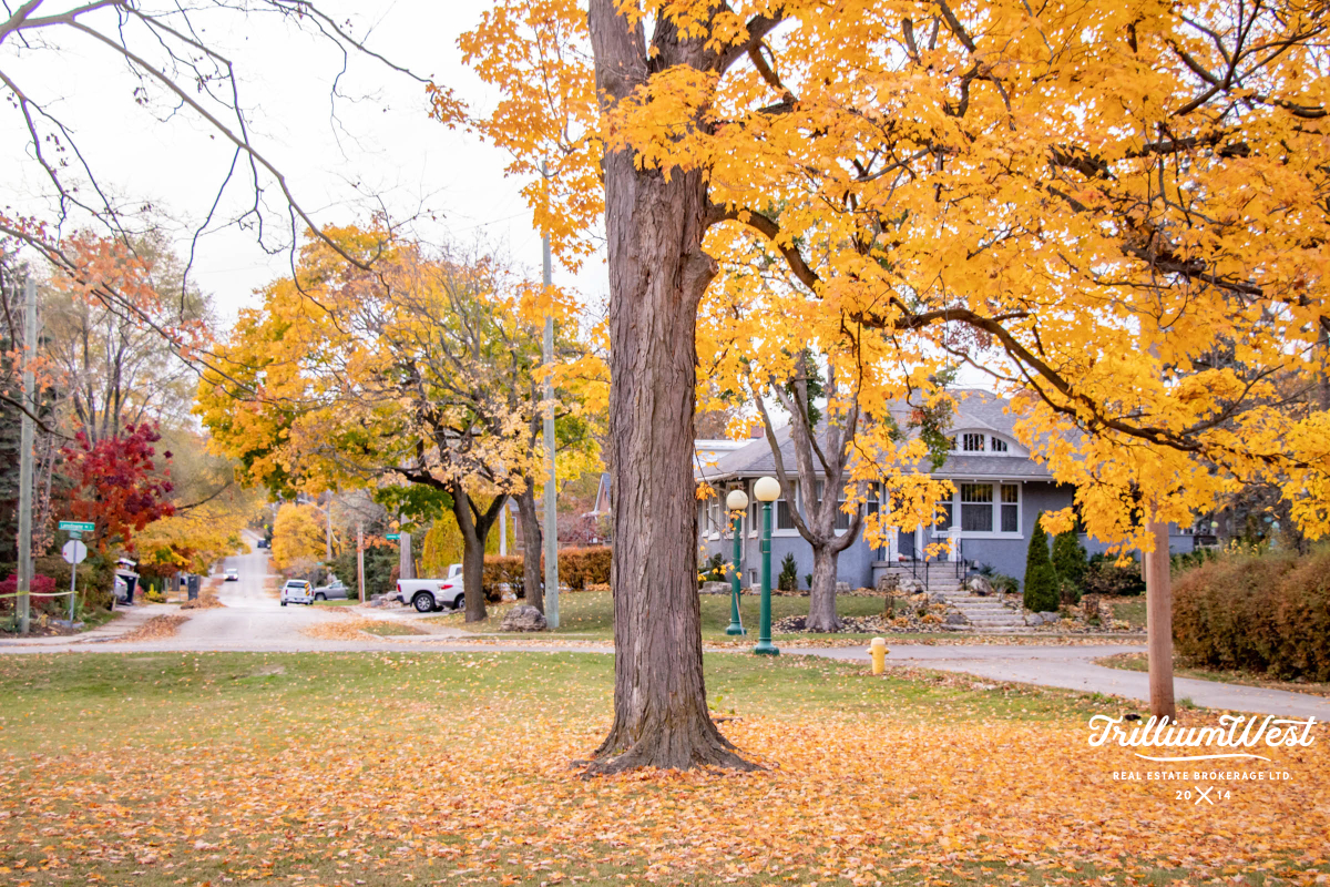 Victoriagallery 13 of 