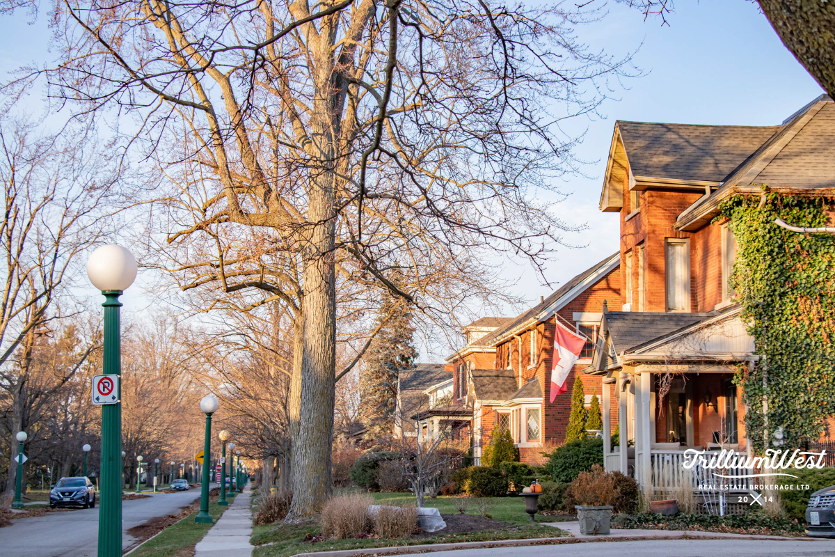 Victoriagallery 16 of 
