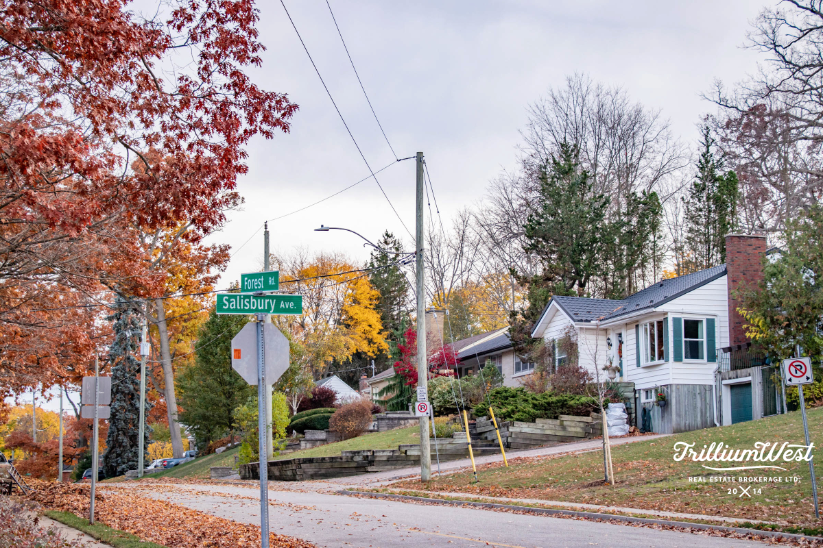 Victoriagallery 6 of 