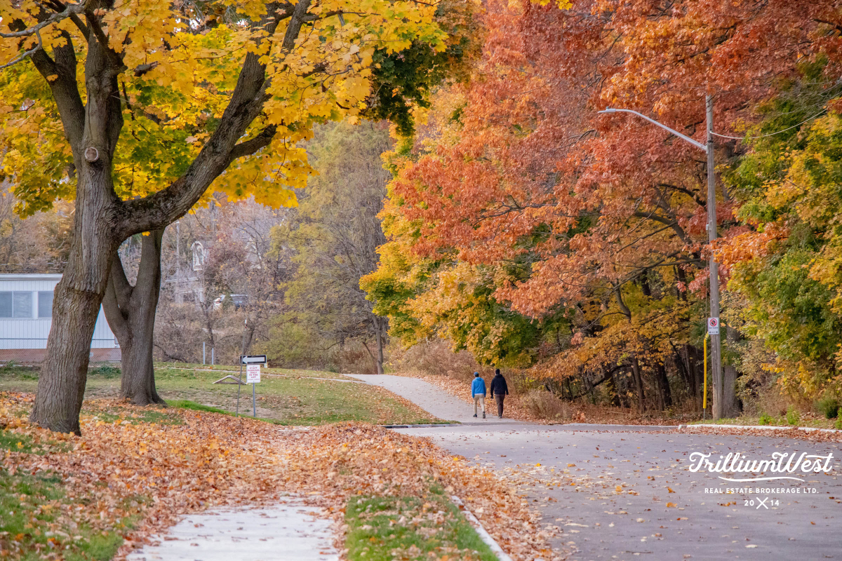 Victoriagallery 7 of 