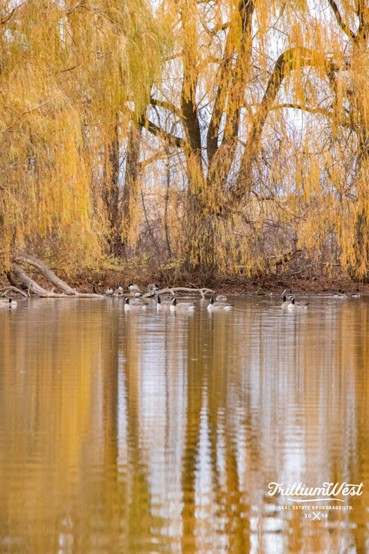 Wellesleygallery 22 of 