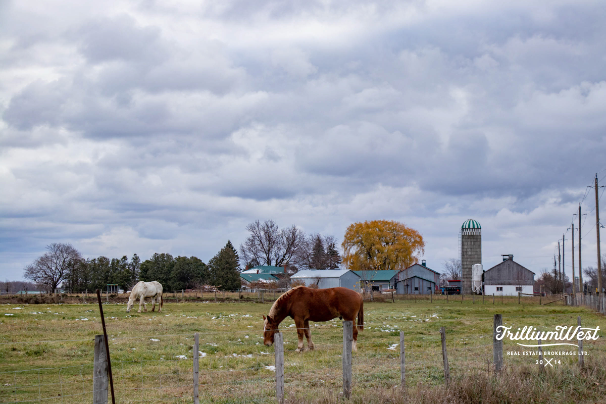 Wellesleygallery 3 of 