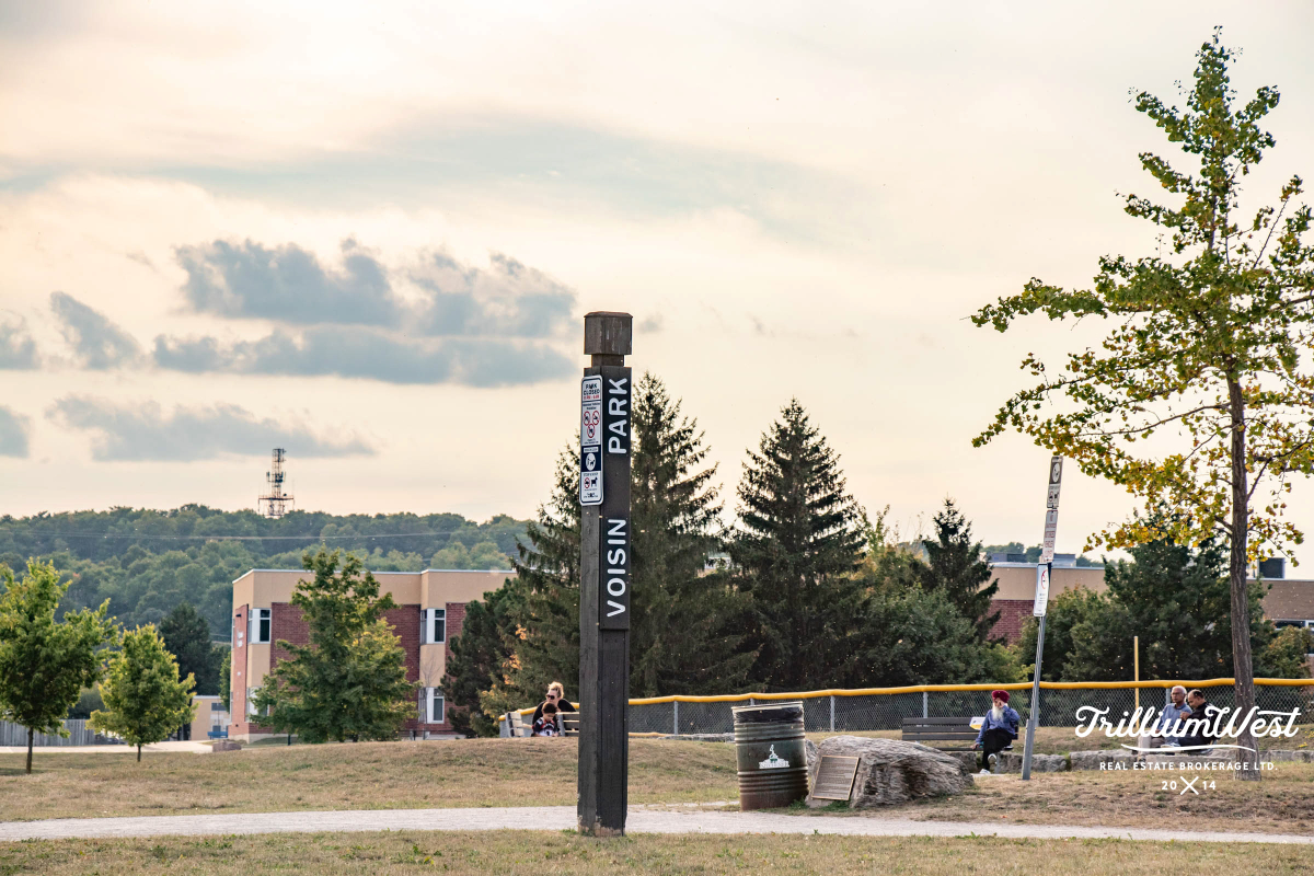 Williamsburggallery 12 of 