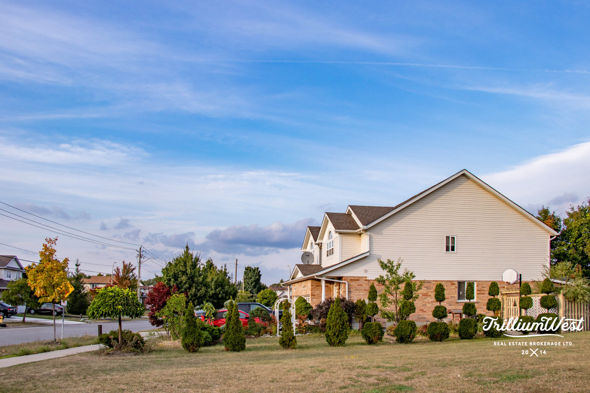 Williamsburggallery 13 of 