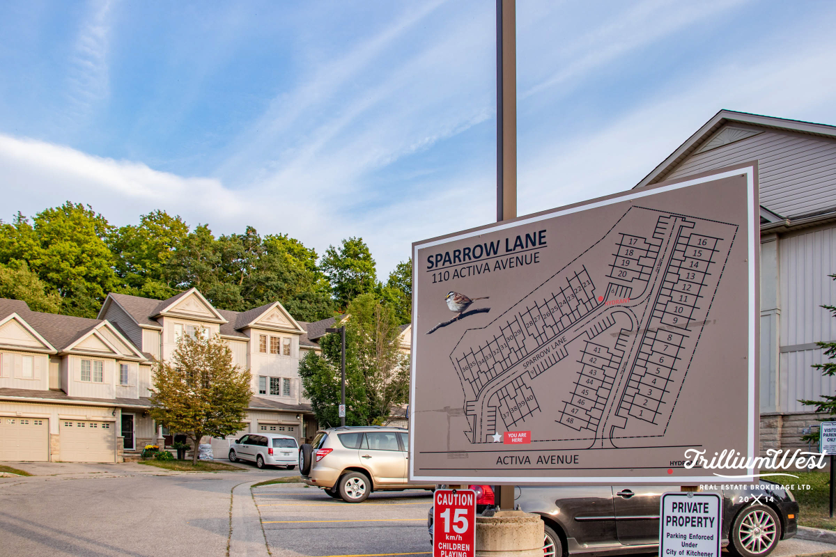 Williamsburggallery 14 of 