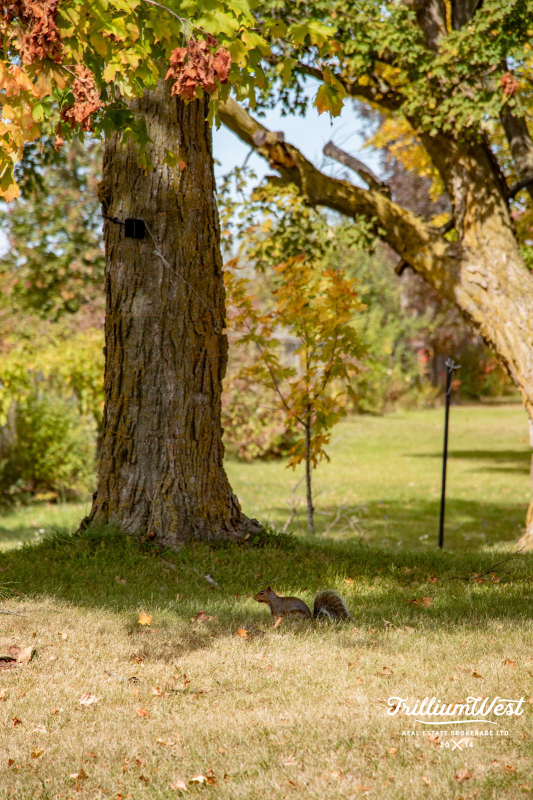 Williamsburggallery 19 of 