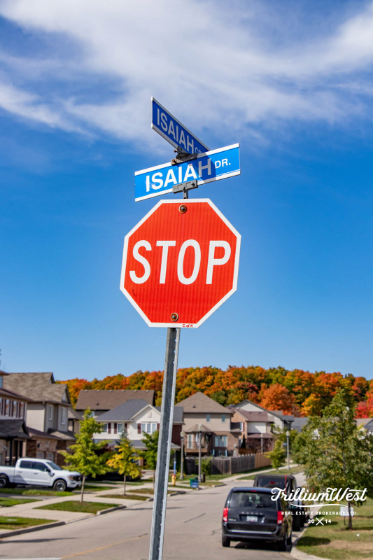 Williamsburggallery 20 of 