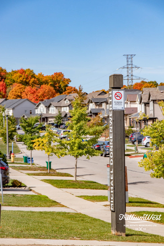 Williamsburggallery 24 of 