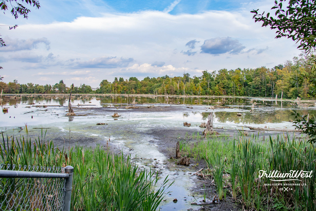 Williamsburggallery 3 of 