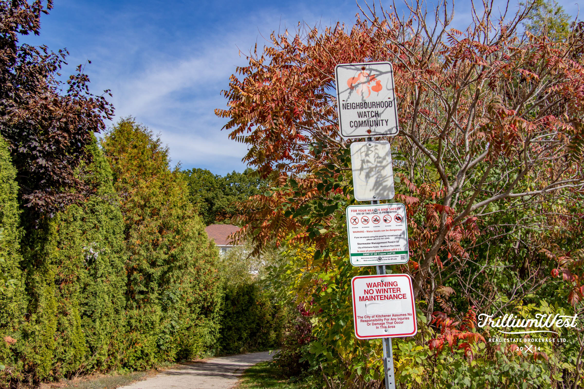 Williamsburggallery 39 of 