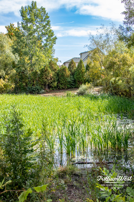 Williamsburggallery 40 of 