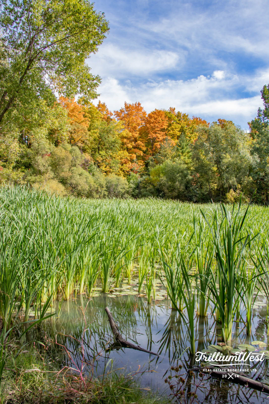 Williamsburggallery 41 of 