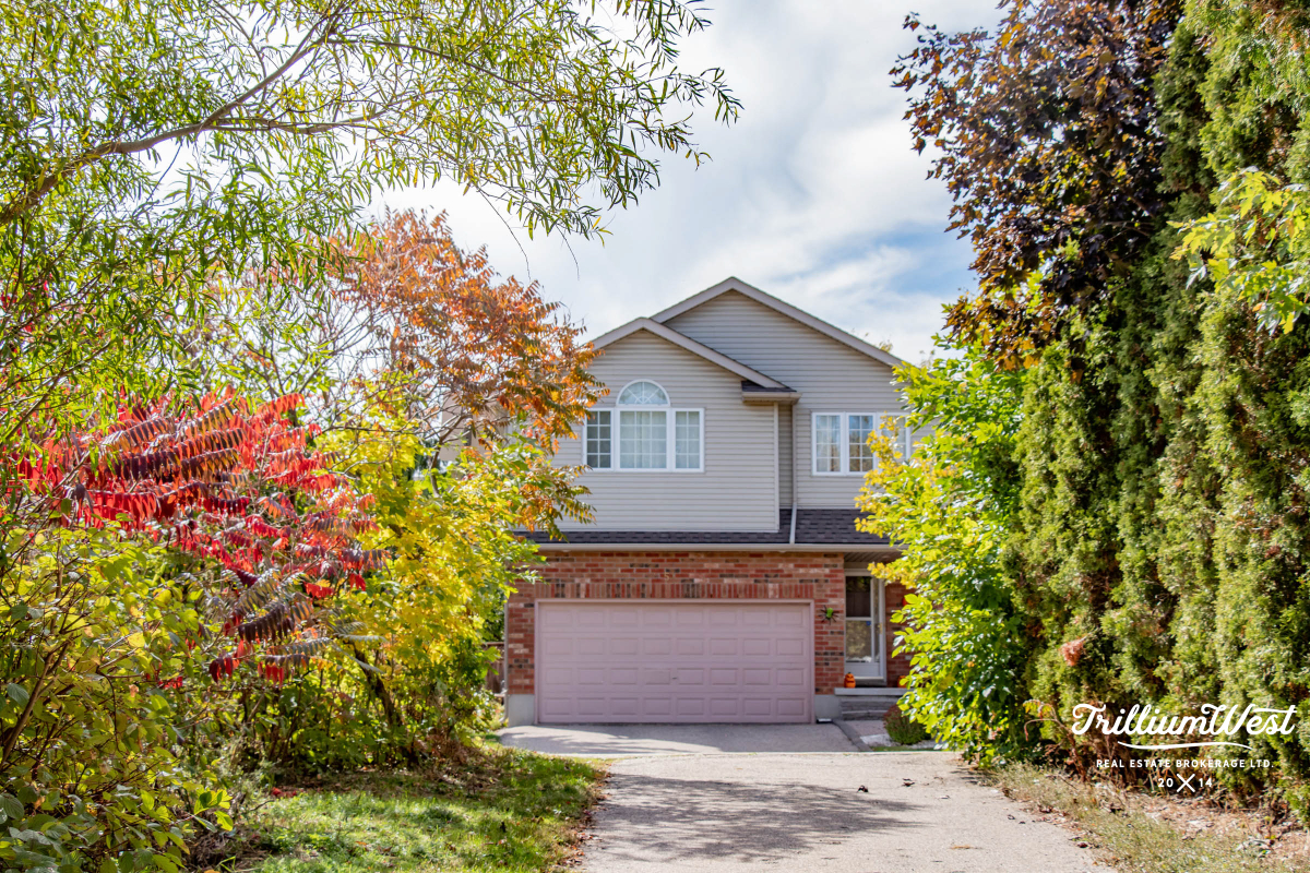 Williamsburggallery 42 of 