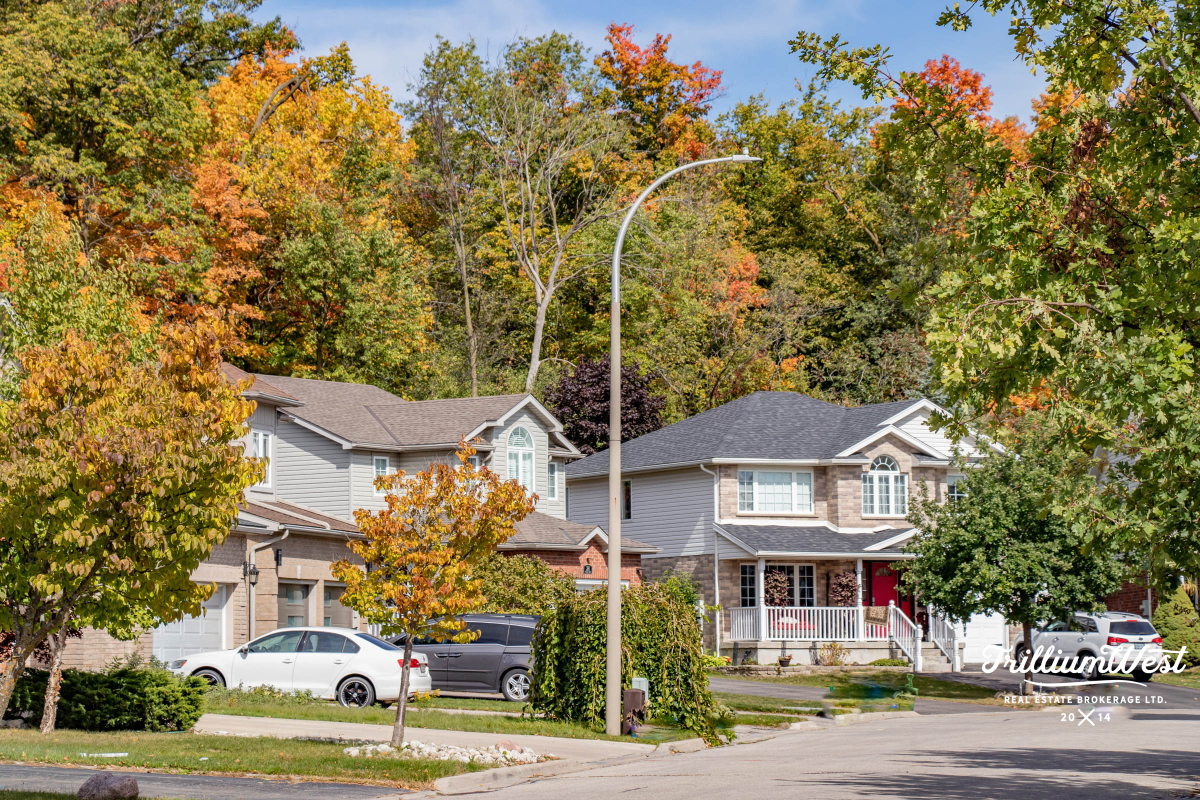 Williamsburggallery 43 of 