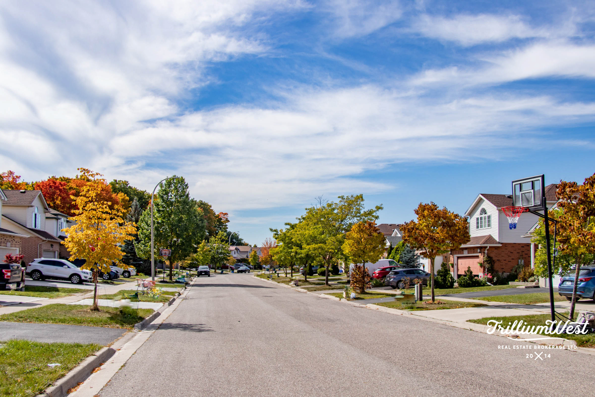 Williamsburggallery 47 of 