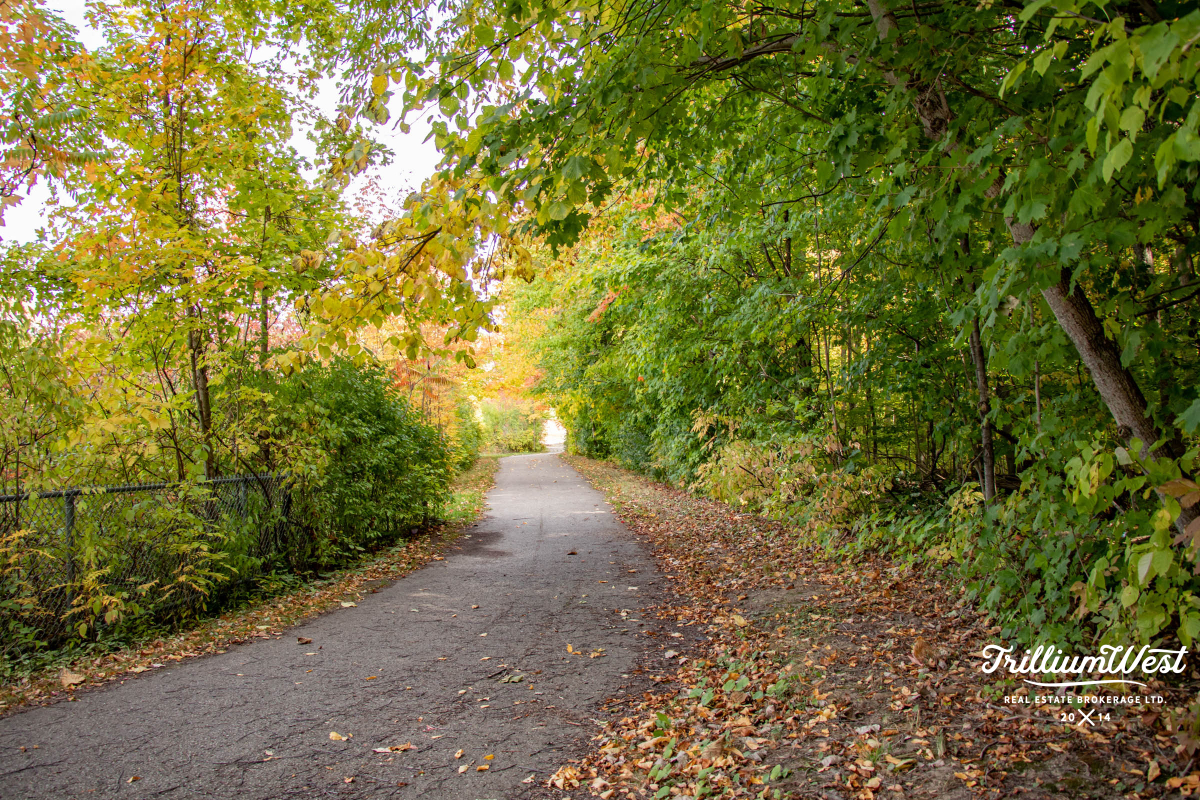 Williamsburggallery 49 of 