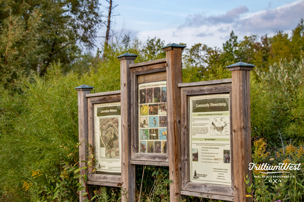 Williamsburggallery 5 of 