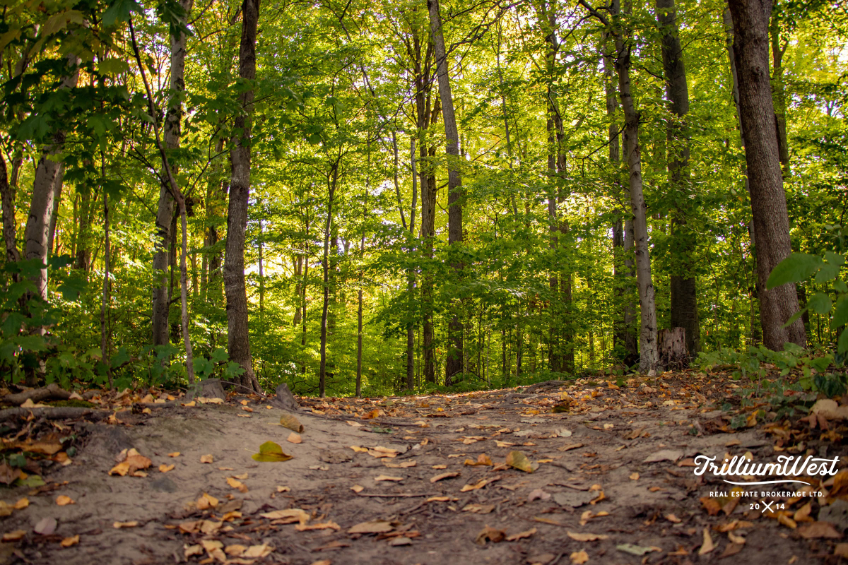 Williamsburggallery 50 of 