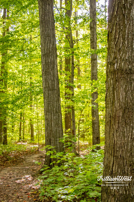 Williamsburggallery 52 of 