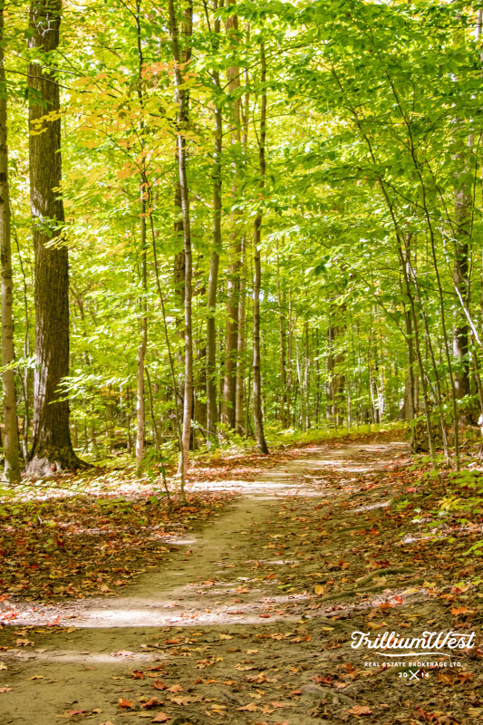 Williamsburggallery 53 of 