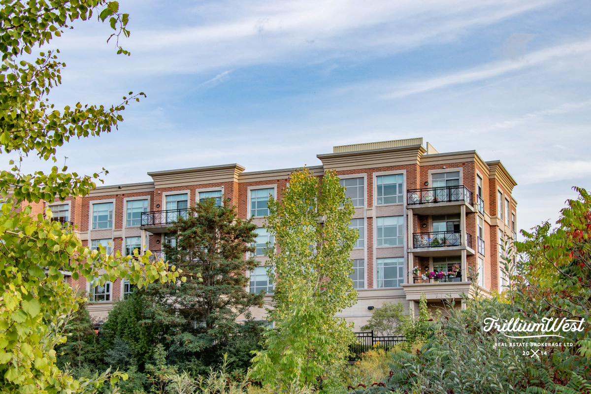 Williamsburggallery 6 of 