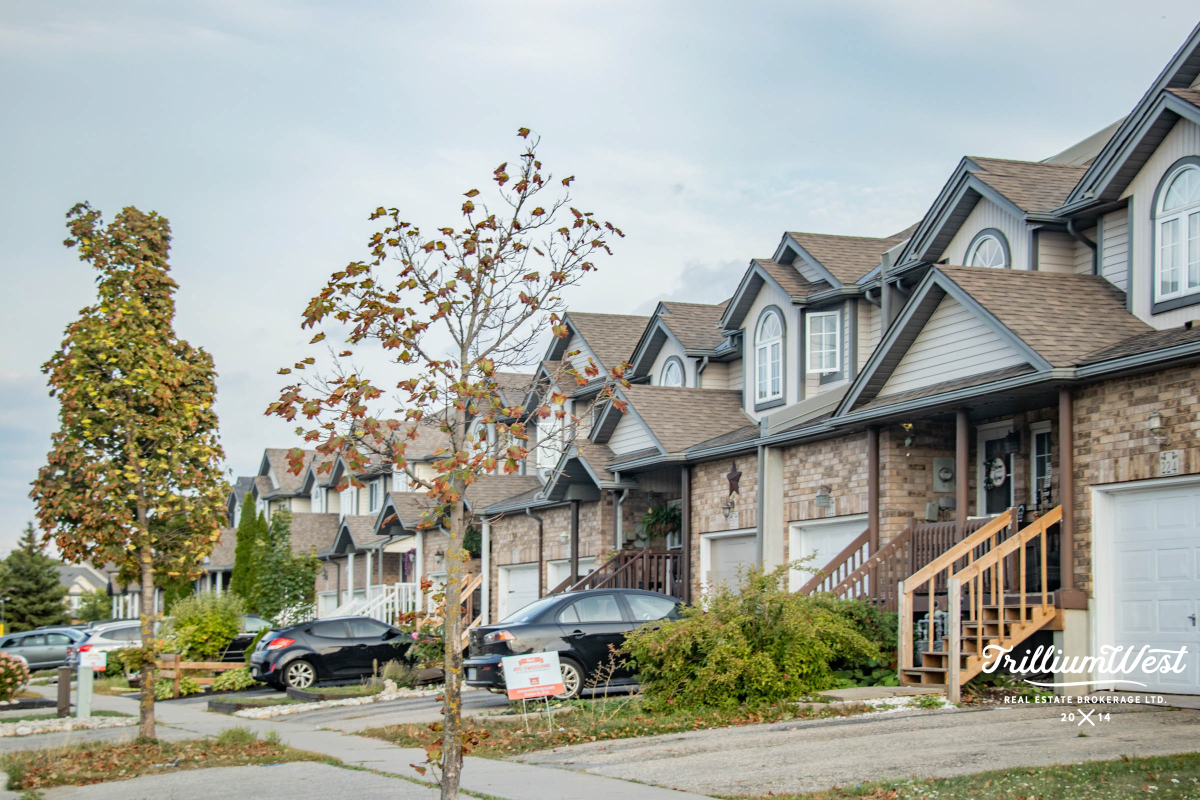 Williamsburggallery 9 of 