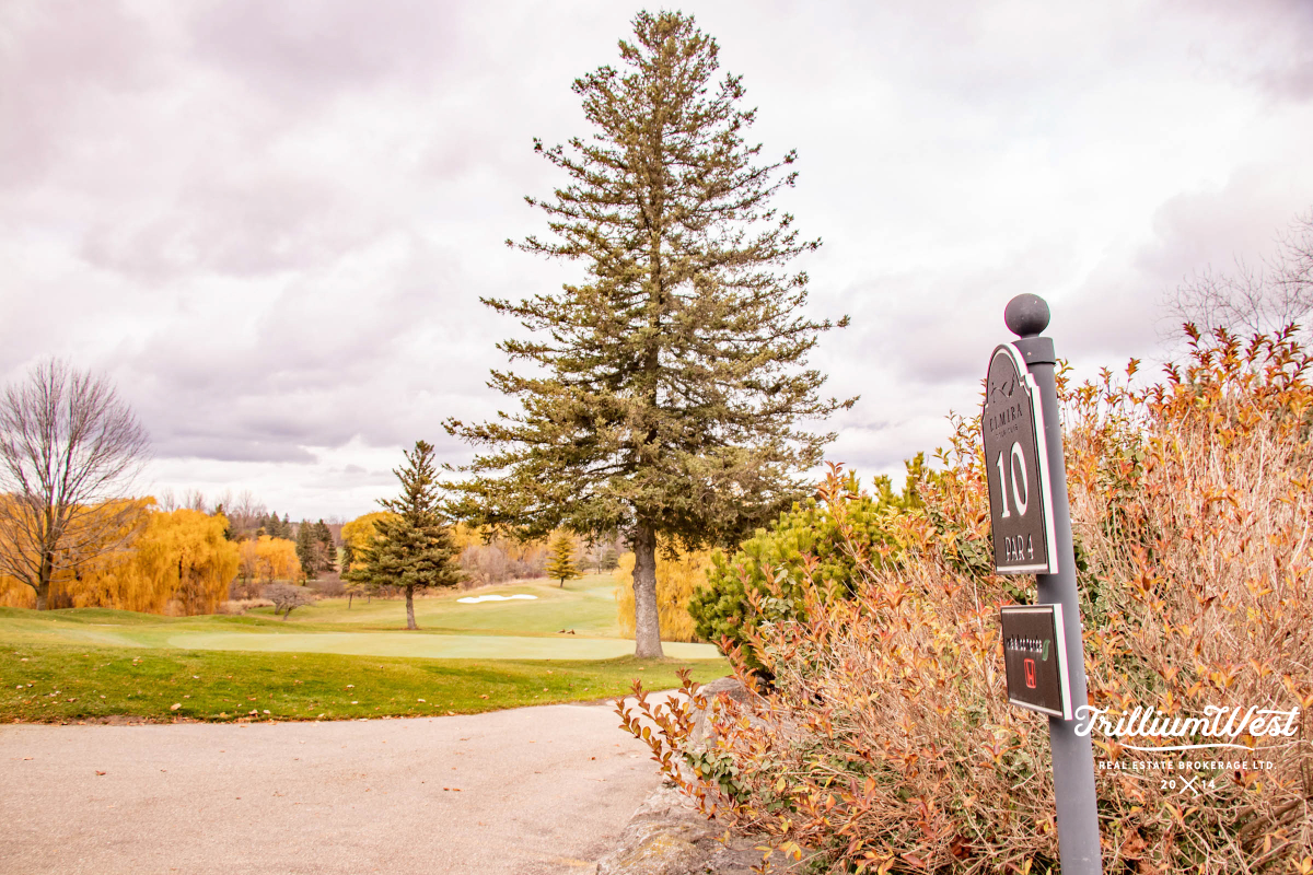 Woolwichgallery 79 of 