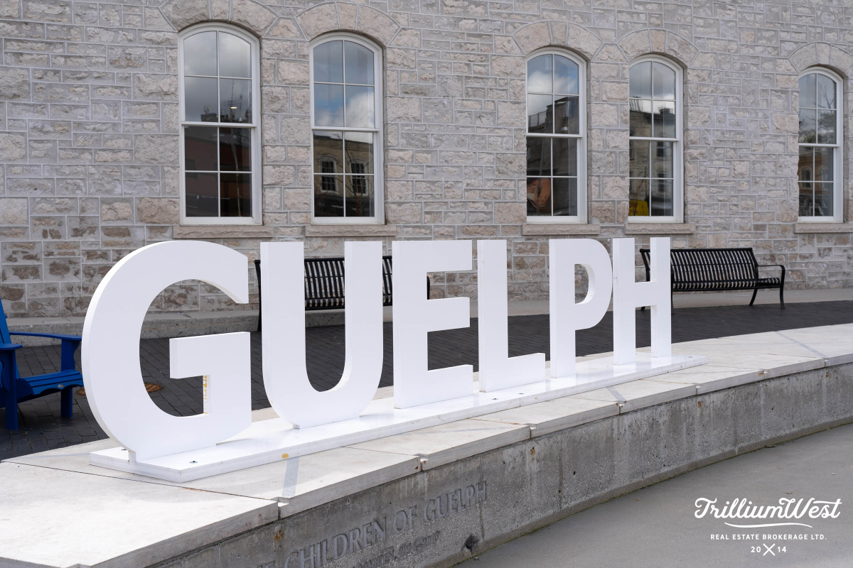 guelph sign city hall copy