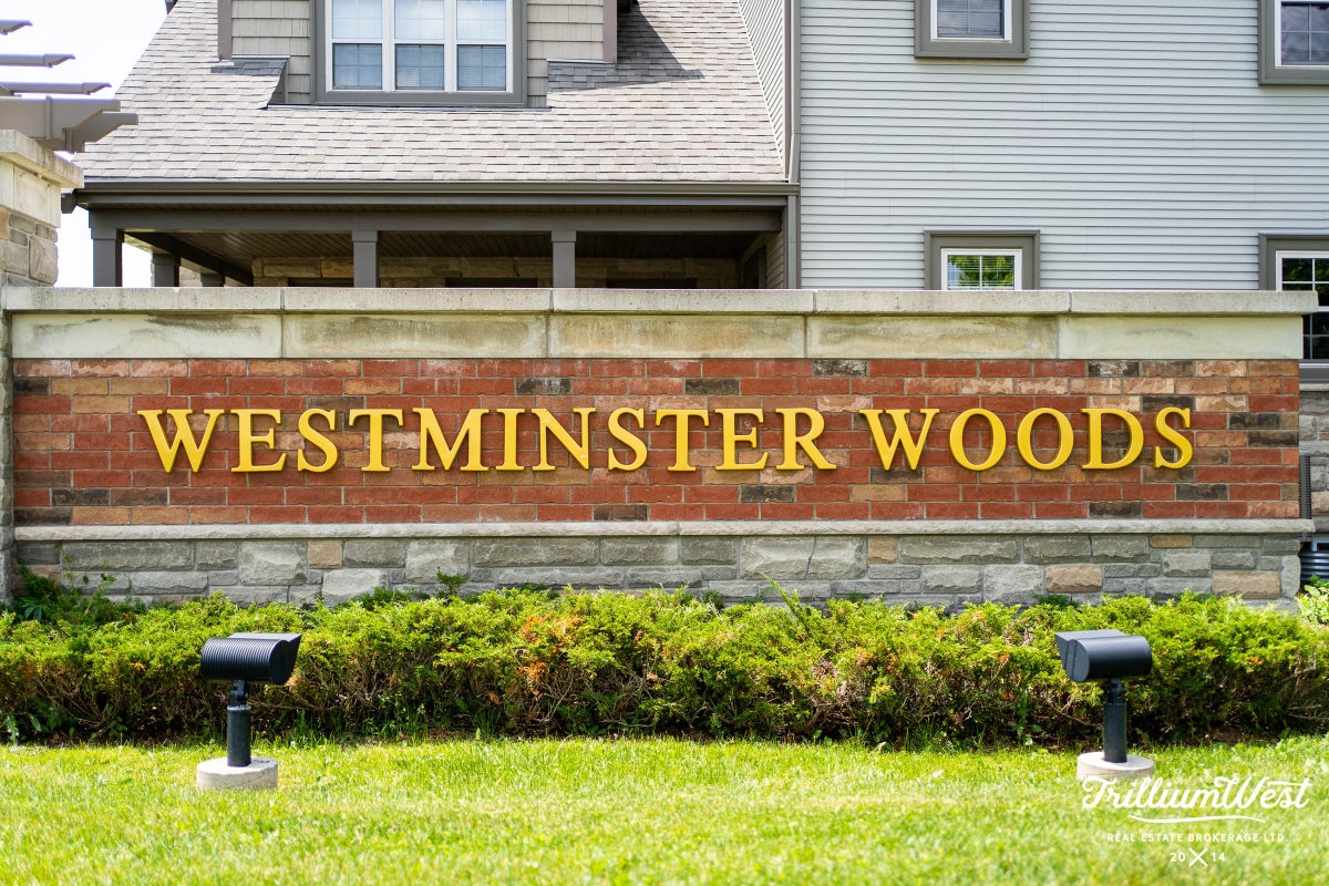 pine ridge and westminster 1 copy