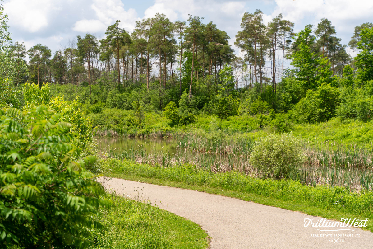 pine ridge and westminster 10 copy