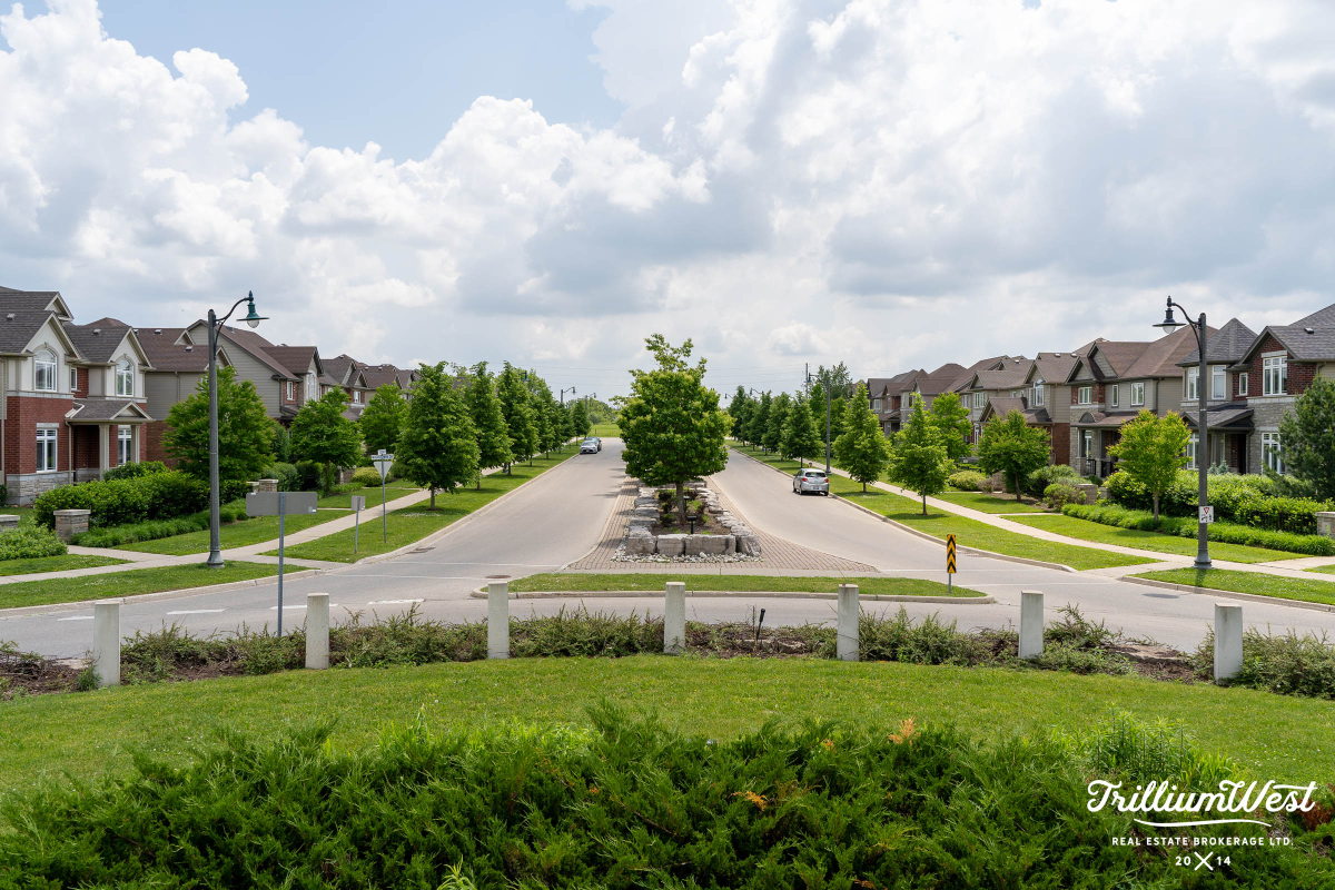 pine ridge and westminster 13 copy