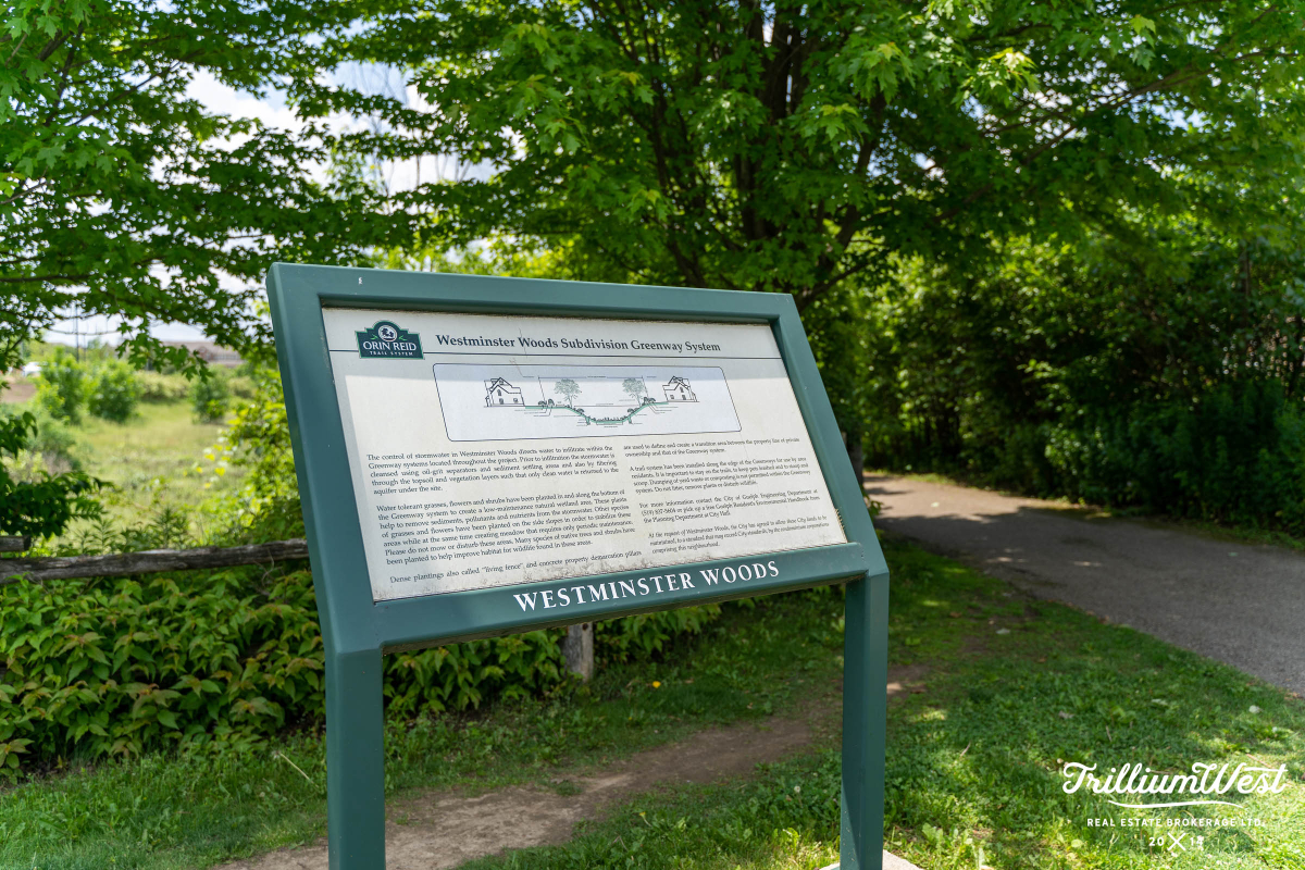 pine ridge and westminster 16 copy