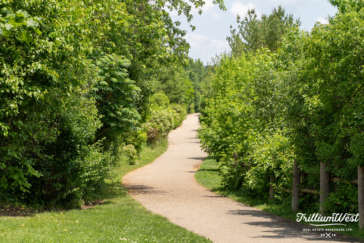 pine ridge and westminster 20 copy