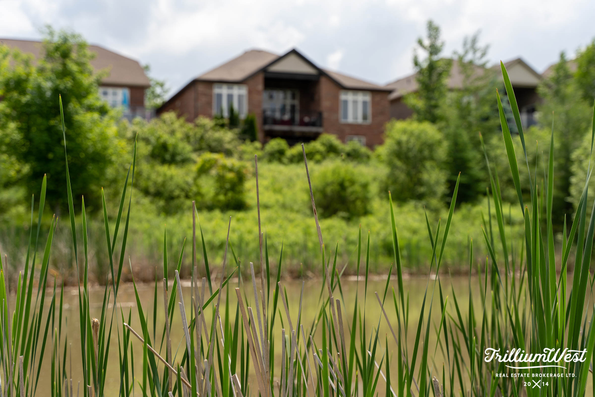 pine ridge and westminster 8 copy