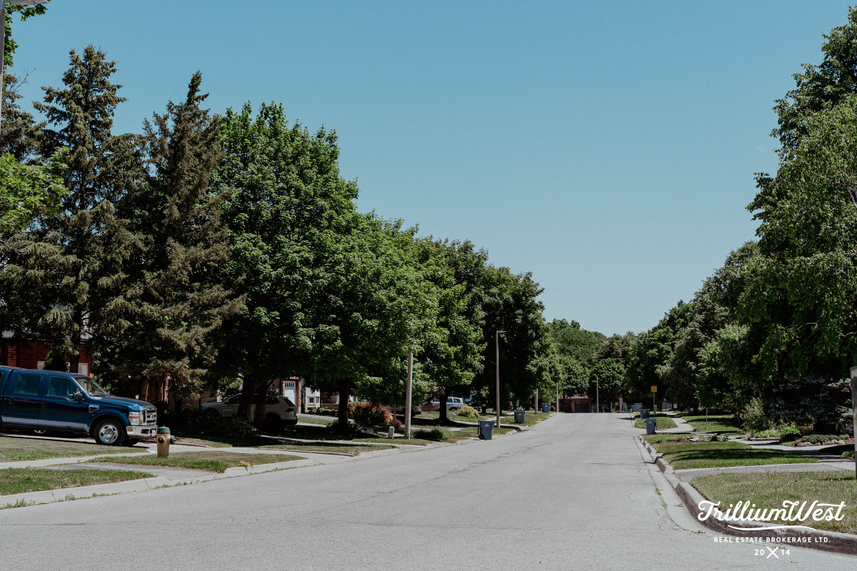 preservation park 14 copy