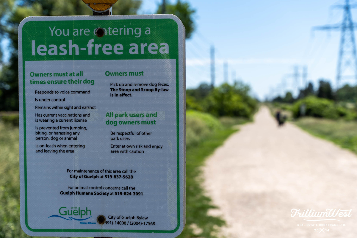 preservation park 17 copy