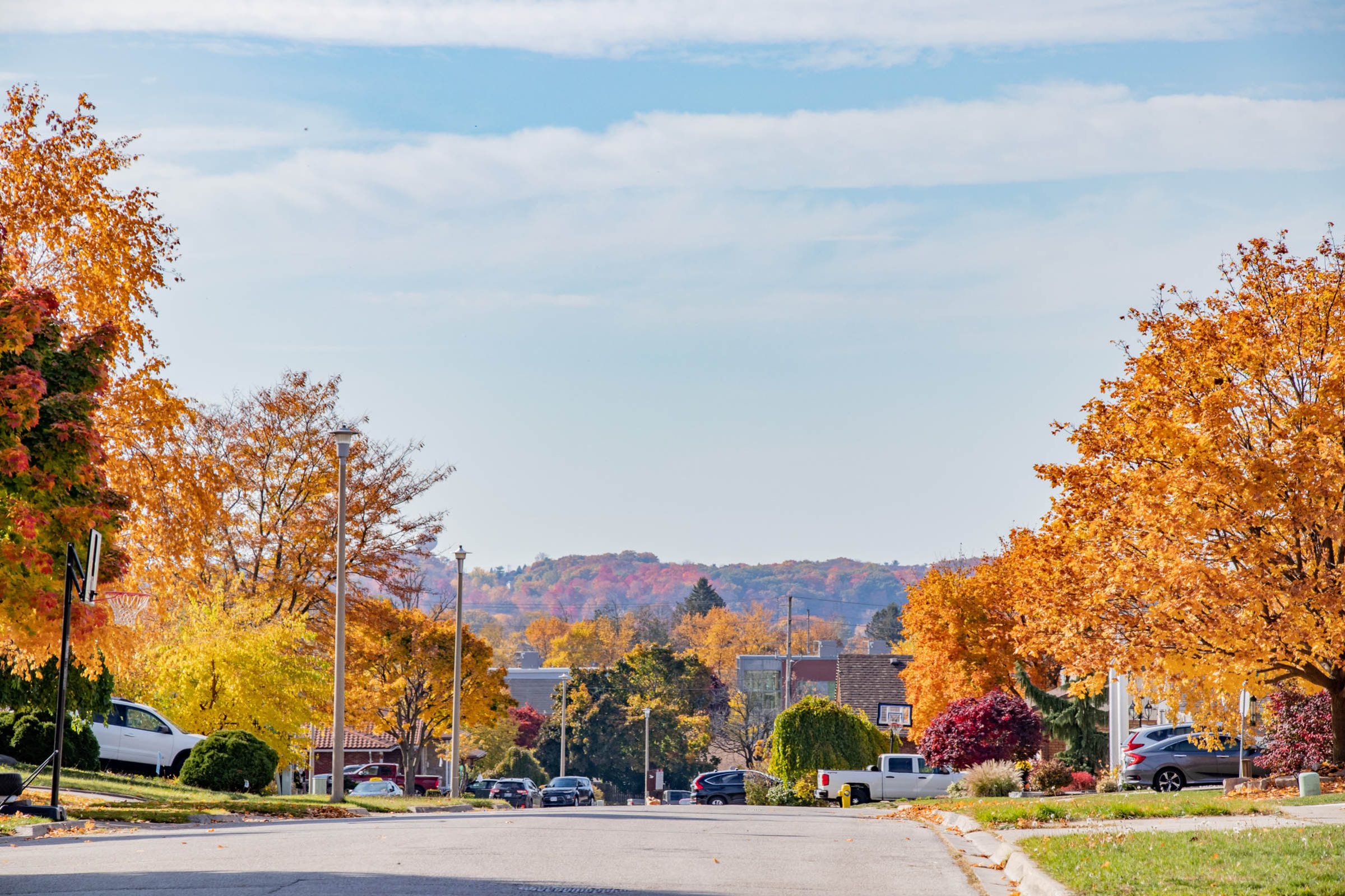 looking down a street in moffat creek, east galt, cambridge in the fall. The leaves on the trees are bright orange